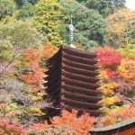 選句・神の山紅葉蹴散らし人を呑む