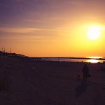 大賞・冬の陽の船漕ぐ母に目を細め/3句だけ俳句コンテンスト