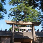 大賞・伊勢詣り苔むす木々に法師蝉/3句だけ俳句コンテンスト