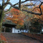 俳句のお題を提案しお題に沿った句を投稿し合えるサイト。『お題で一句』を公開しました!
