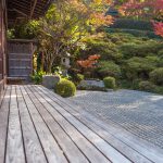 季重なりでもOKな句とダメな句の違いとは?主役をはっきりさせる