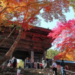 上手な俳句ができる!推敲の5大ポイント